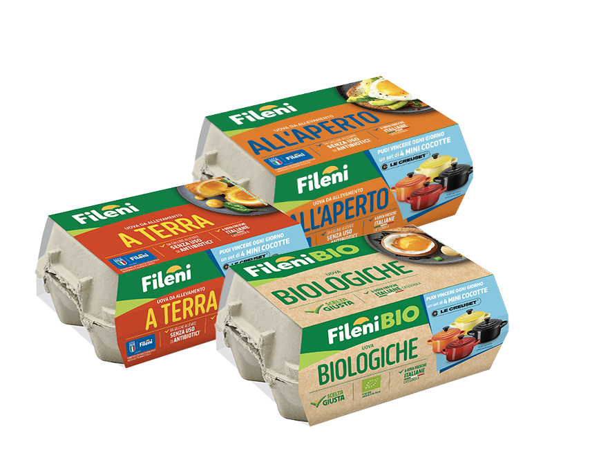 Immagine uova Fileni