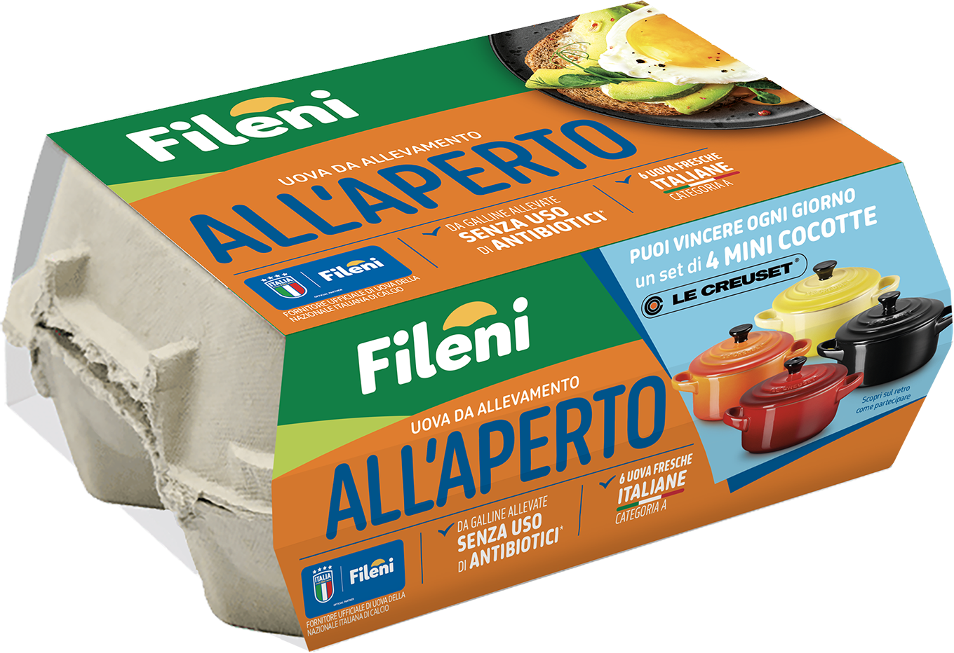 Immagine uova allevate all'aperto Fileni