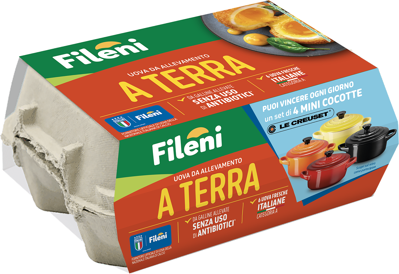 Immagine uova allevate a terra Fileni